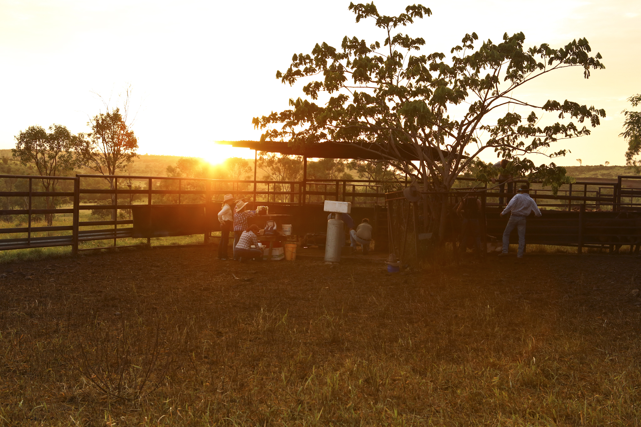 Community photography exhibition