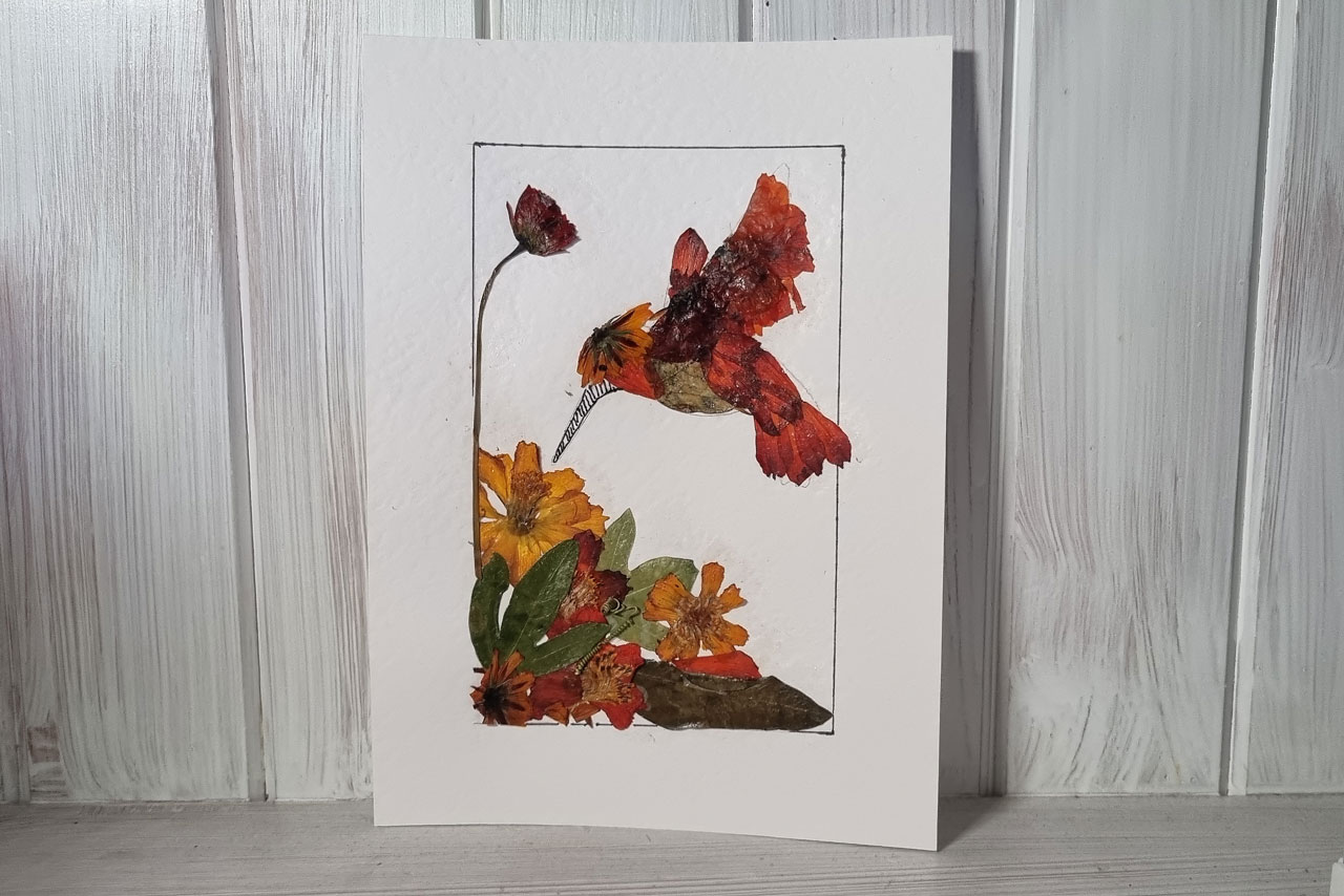 Hummingbird craft